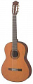 Valencia CG200CEw/b классическая гитара