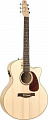 Seagull Natural Elements Amber Trail CW MJ + Case  электроакустическая гитара Jumbo с кейсом, цвет натуральный