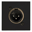 Audac CP45XLMS/B панель подключения без пайки XLR-M размера D стандарта 45 х 45 мм, цвет чёрный