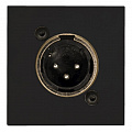Audac CP45XLMS/B панель подключения без пайки XLR-M размера D стандарта 45 х 45 мм, цвет чёрный