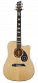NG DAWN S1 NA акустическая гитара, цвет натуральный