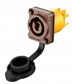 Roxtone RAC3MPI-WP Brown разъем кабельный powercon, цвет коричневый