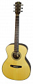 Dowina Danubius GA-s акустическая гитара гранд аудиториум, цвет натуральный