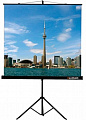 Lumien LEV-100103 экран на штативе Eco View 200 x 200 см