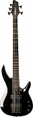 Washburn BB5(GM,DBL)  5-струнная бас-гитара