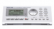 Tascam LR-10 электронный репетитор/рекордер для инструментов и вокала