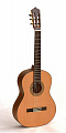 Dowina CL222 классическая гитара