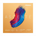 D'Addario A310 1/2M  серия Ascente, набор струн для скрипки 1/2, среднее натяжение