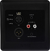 Xilica R22-WP-M панель аудио измерений с двойными 2 in/ 2 out разъемами  Dante, XLR RCA Mini