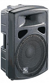 Soundking FP0210A активная акустическая система