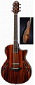 Crafter SA-ARW электроакустическая гитара, жёсткий фирменный кейс в комплекте
