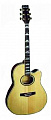 Martinez FAW-817EQ электроакустическая гитара.