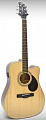 GregBennett GD101SCE/N электроакустическая гитара