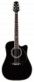 Takamine SW341SC ARTIST SERIES электроакустическая гитара с кейсом