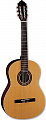 Samick CN2/N акустическая гитара