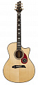 NG RM411SCE  электроакустическая гитара, цвет натуральный, чехол в комплекте