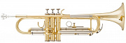 Arnolds&Sons ATR-4200-Terra  труба Bb студенческая модель, золотой лак