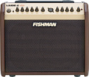 Fishman PRO-LBX-EX5(Loud Box Mini)  комбо для акустической гитары, 60 Вт