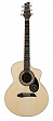 NG Start-E NA электроакустическая гитара, цвет натуральный