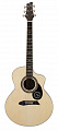 NG Start-E NA электроакустическая гитара, цвет натуральный
