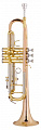 Gebr. Stolze TR-330  Труба Bb, корпус и раструб-латунь, прозрачный лак