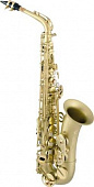Amati AAS 33GZ-O саксофон альт Bb с кейсом и мундштуком, лак золотистая звёздн. пыль