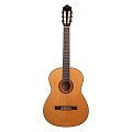 Omni CG-100  классическая гитара, с чехлом, цвет натуральный