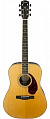 Fender PM-1 Deluxe Dreadnought Nat акустическая гитара, цвет натуральный