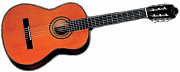 J&D .C8 акустическая гитара