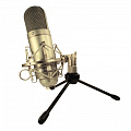 Recording Tools MCU-01 (никель)  USB микрофон + стойка и амортизатор, цвет никель