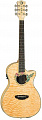 Luna FAU HUM электроакустическая гитара, цвет натуральный, рисунок "колибри"