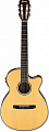 Ibanez AEG10NII-NT гитара электроакустическая с нейлоновыми струнами, цвет натуральный