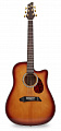 NG DM411SC Peach акустическая гитара, цвет санберст, чехол в комплекте