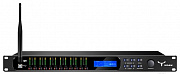 Moose DSP48W цифровой аудио процессор 4 входа / 8 выходов