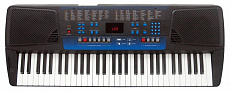 Ringway CK62+B синтезатор, 61 клавиша, цвет черный
