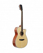 Starsun TG220c-p Open-Pore  акустическая гитара, цвет натуральный