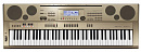 Casio AT-5 профессиональный клавишный инструмент для исполнения восточной/арабской  музыки