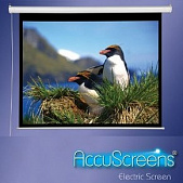 Draper Accuscreen Electric NTSC (3:4) 175*234 Моторизированный экран