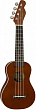 Fender Ukulele Venice Nat укулеле сопрано, цвет натуральный