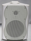 SVS Audiotechnik WS-20 White громкоговоритель настенный, динамик 4", драйвер 0.5", цвет белый