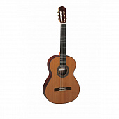 Perez 640 Cedar классическая гитара 4/4, верх кедр, дека и обечайки индийский палисандр