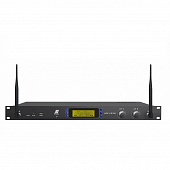 S-Track Lion V44N  цифровой аудио процессор с усилителем мощности и UHF радиосистемой