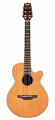 Takamine EAN30C электроакустическая гитара с кейсом