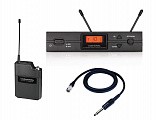 Audio-Technica ATW2110a/G гитарная радиосистема
