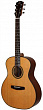 Dowina GA555 акустическая гитара