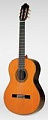 Francisco Esteve 11 SP классическая гитара