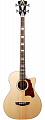 D'Angelico PremierE Mott NT  акустическая бас-гитара, цвет натуральный