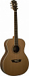 Washburn WMJ21S акустическая гитара