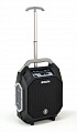 ANT iRoller 8  мобильная активная акустическая система, 50 Вт, SD/ USB, MP3 плеер, Bluetooth®
