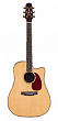 Takamine TNV340SC электроакустическая гитара с кейсом